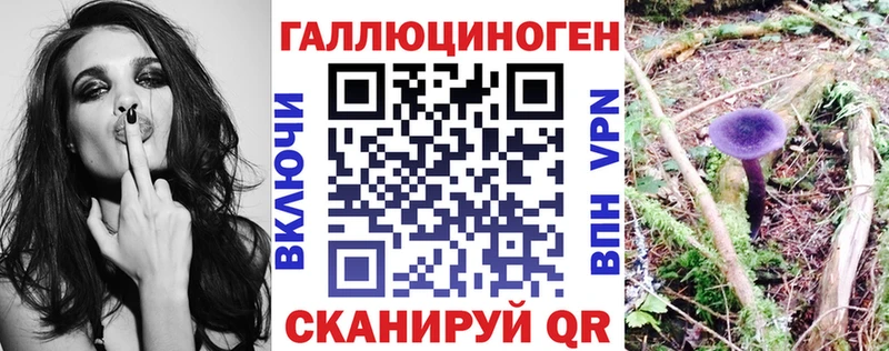 где можно купить наркотик  Моздок  Псилоцибиновые грибы Cubensis 