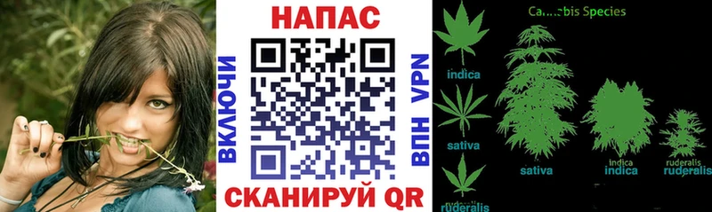 Шишки марихуана White Widow  kraken ссылки  Моздок  цены наркотик 